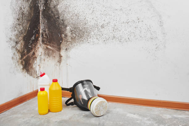 Best Mold Testing  in Keasbey, NJ