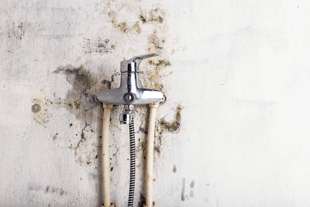 Best Affordable Mold Removal  in Keasbey, NJ