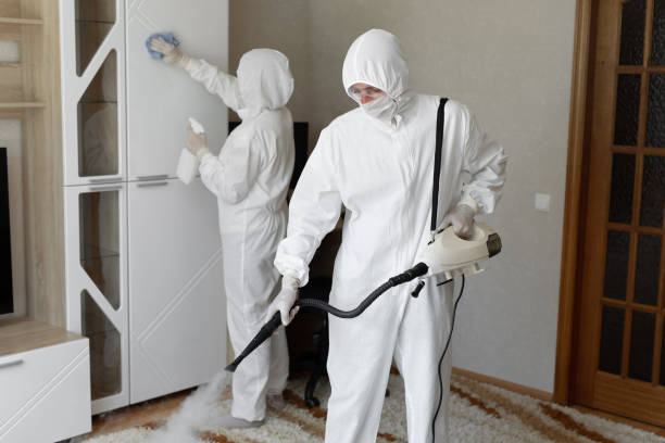 Certified Mold Removal in Keasbey, NJ