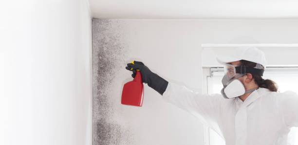 Best Local Mold Removal Service  in Keasbey, NJ