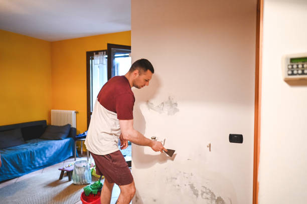 Best Best Mold Removal Companies  in Keasbey, NJ