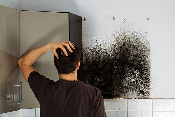 Best Mold Removal Near Me  in Keasbey, NJ