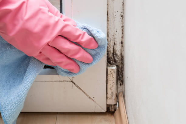 Best Emergency Mold Removal  in Keasbey, NJ